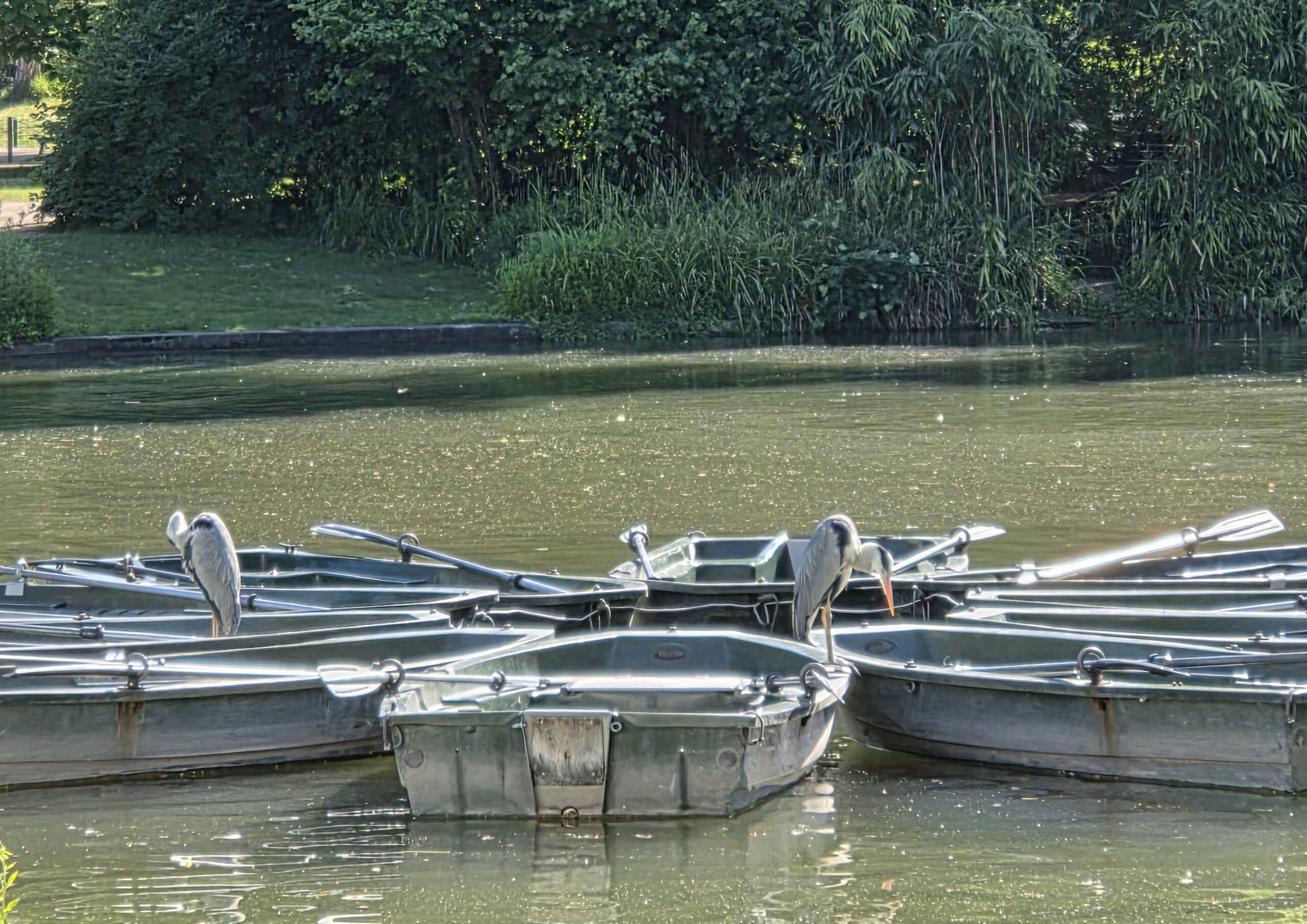 Claire W. : « Pêche en barque »